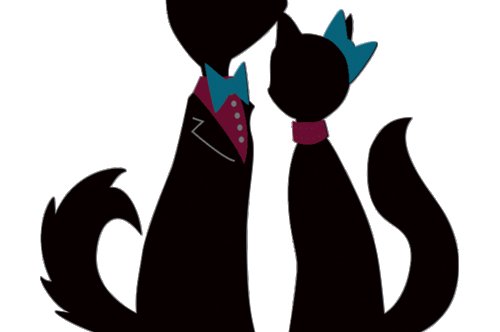 İsme Özel Köpek Kıyafeti