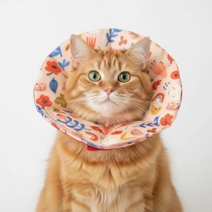 Floral Konfor Yumuşak Koruyucu Kedi Yakası